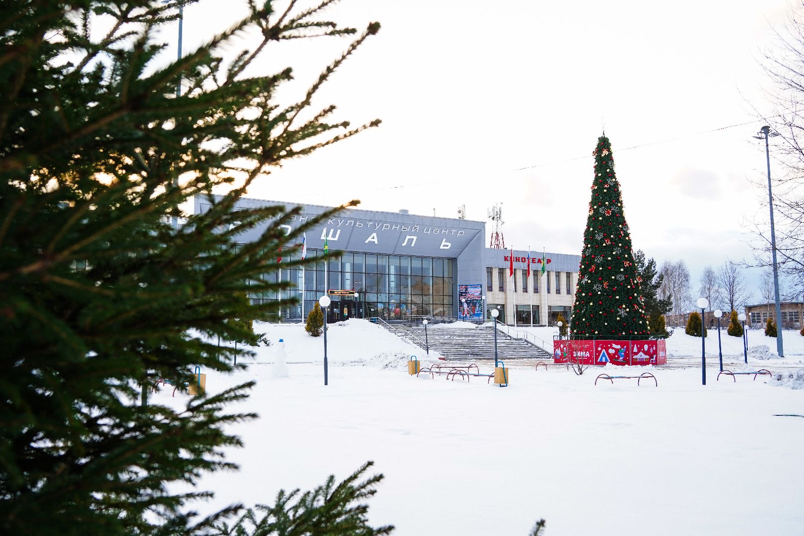 Дедморобус, Большая Шатура, Новый год,