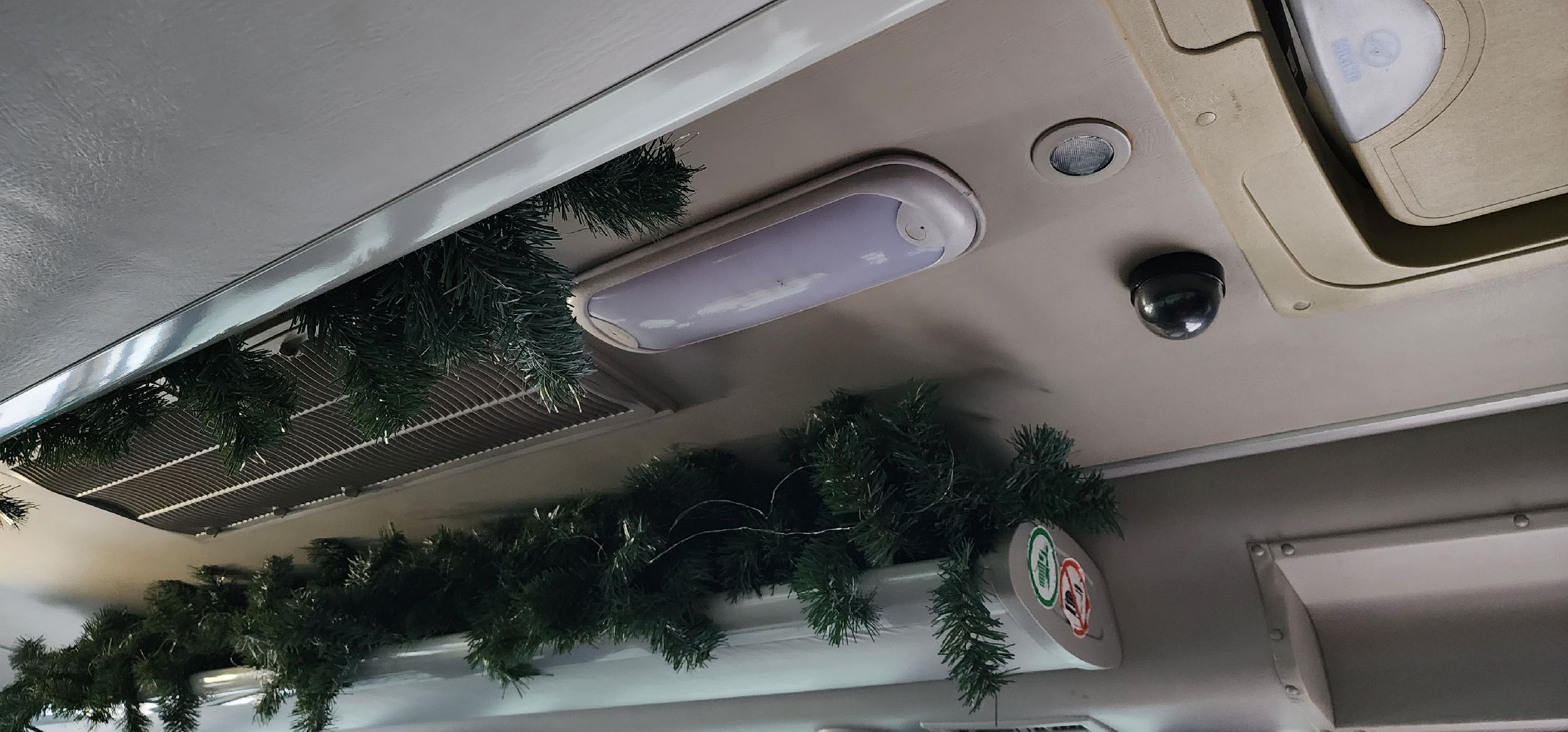 Дедморобус, Большая Шатура, Новый год,