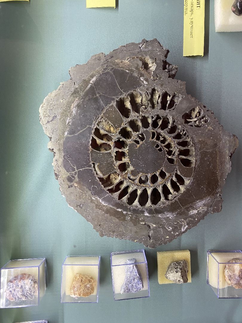 волоколамск, волоколамский кремль, музей, камни, метеориты,