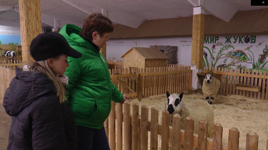 Дмитров, сельское хозяйство