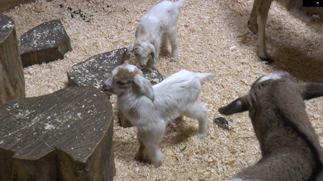 Дмитров, сельское хозяйство