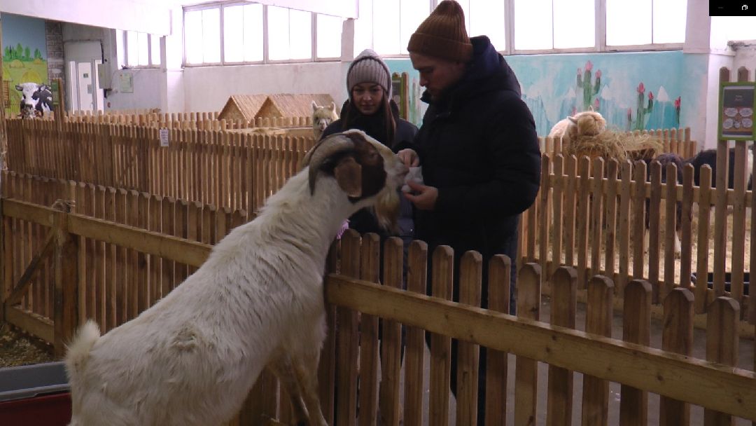 Дмитров, сельское хозяйство