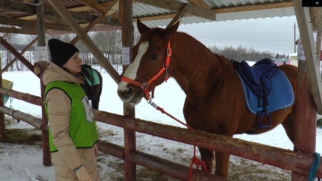 Дмитров, сельское хозяйство