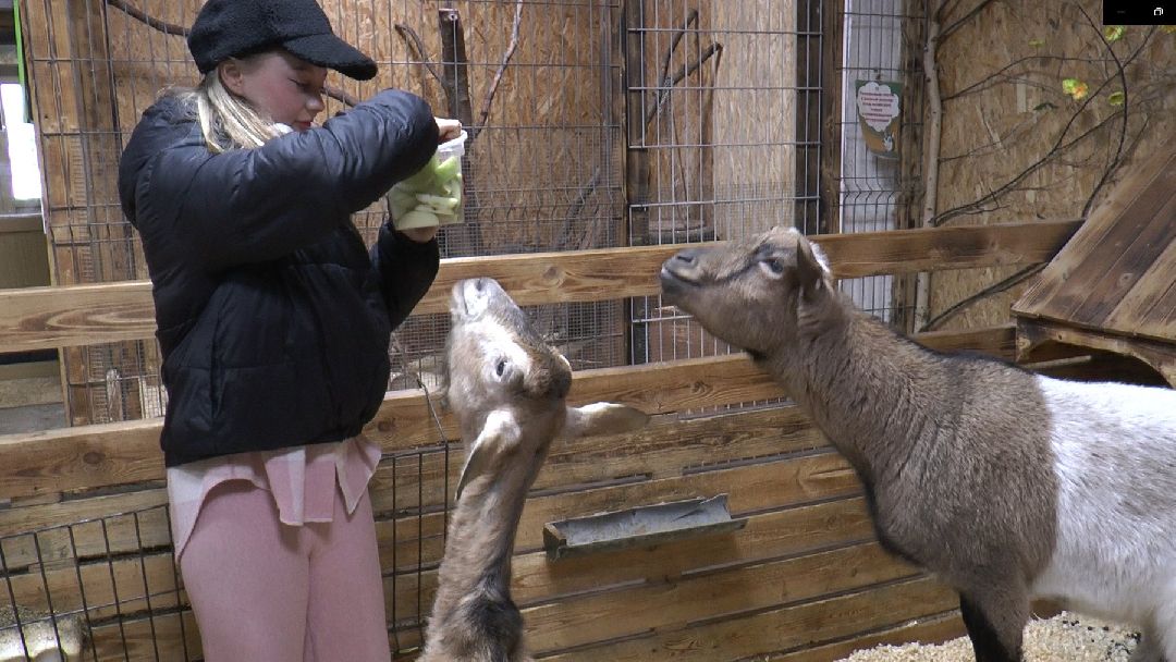 Дмитров, сельское хозяйство
