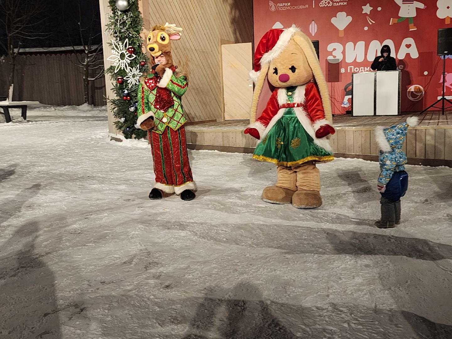 Звенигород, Зима в Подмосковье,