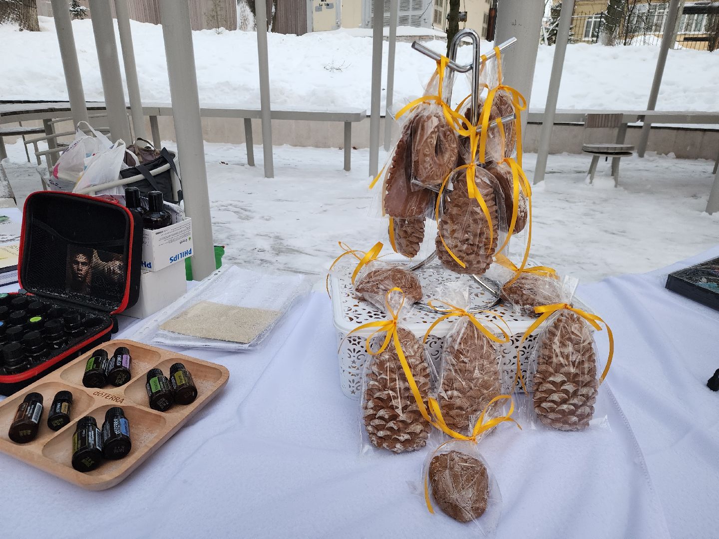 Звенигород, Зима в Подмосковье,