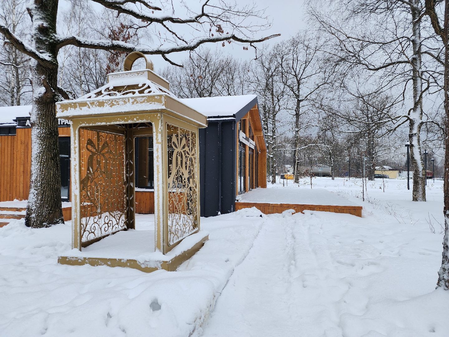 парк, фрязино, украшение, новый год,