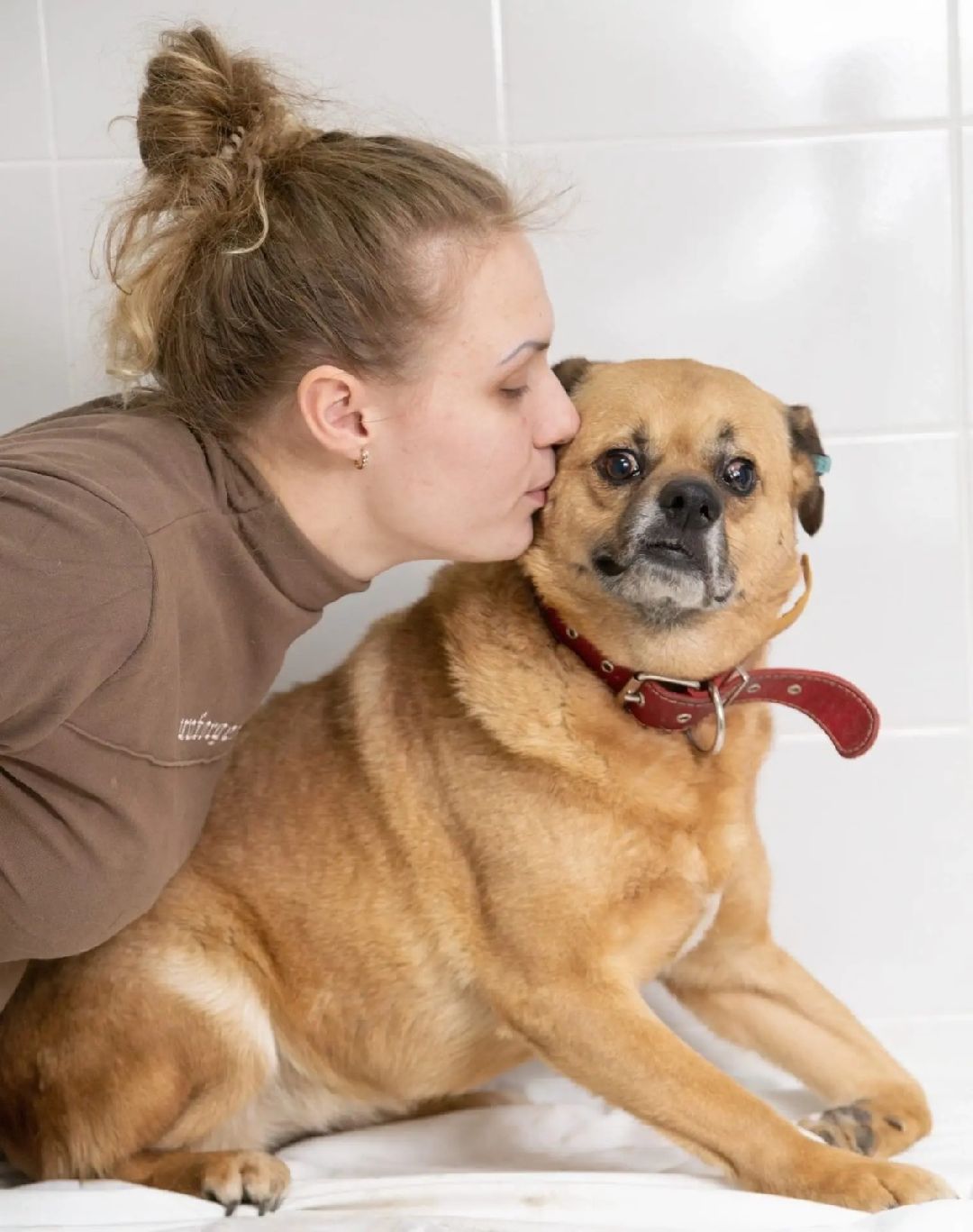 Волонтер, бездомныеживотные, приют, Берегиня, собака, кошка, зооакция, благотворительность, пристройство, Наро-Фоминск, Беригиня