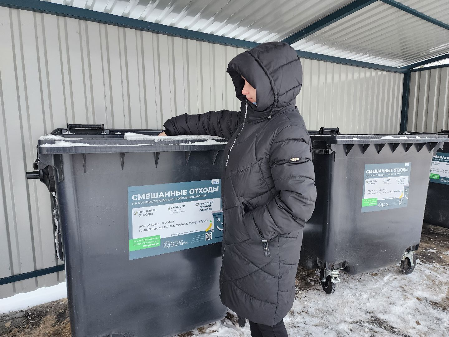 раменское,жкх, контейнерная площадка, деревня Сафоново,