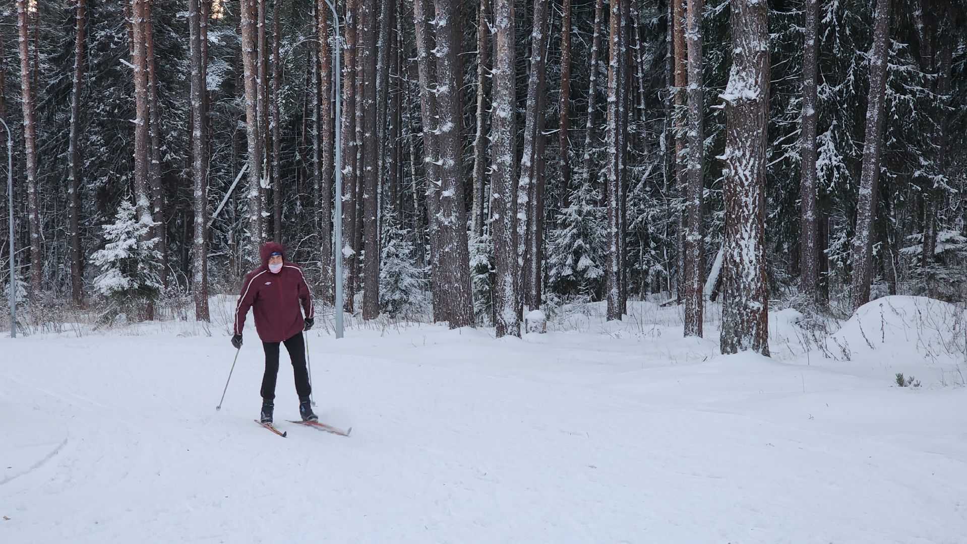 Егорьевск, лыжня, Лыжная база, подмосковье, лидер, Школа лидер, Глава города,