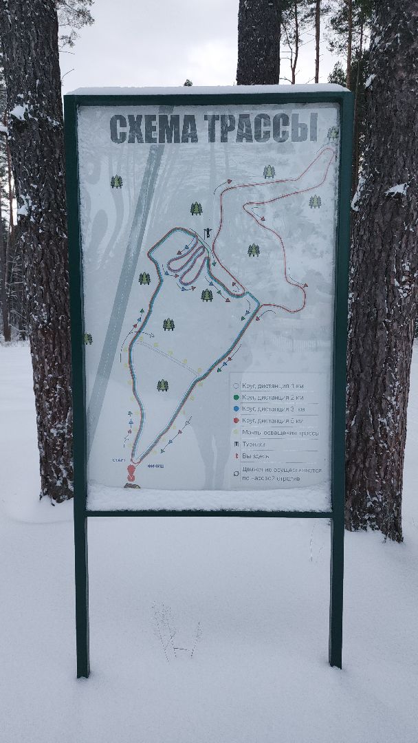 Егорьевск, лыжня, Лыжная база, подмосковье, лидер, Школа лидер, Глава города,