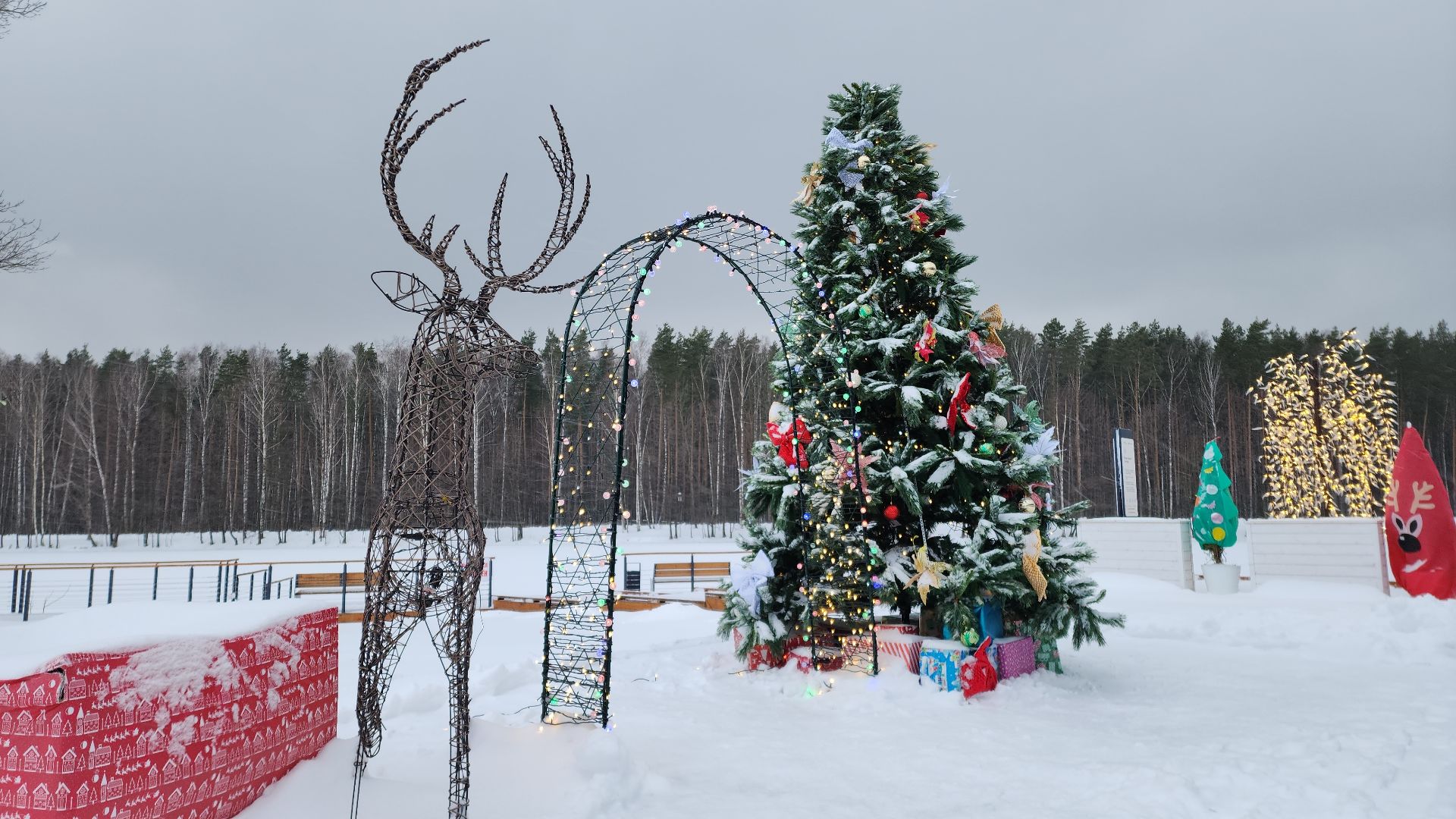 парк, электросталь, культура, культура подмосковья, парки подмосковья ., зима, зима в подмосковье, зимавподмосковье2024, ёлка, снегоуборка, снегоуборочная техника, каток, каток в парке,