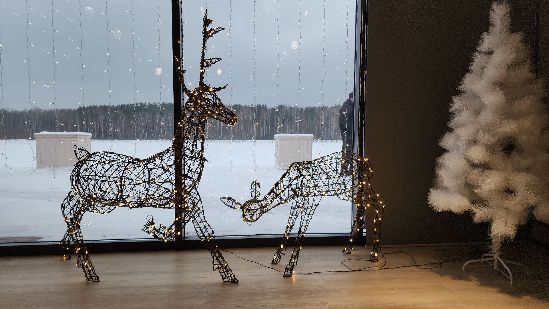 парк, электросталь, культура, культура подмосковья, парки подмосковья ., зима, зима в подмосковье, зимавподмосковье2024, ёлка, снегоуборка, снегоуборочная техника, каток, каток в парке,