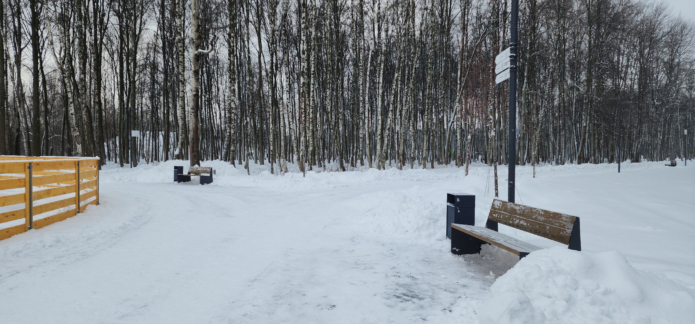 парк, электросталь, культура, культура подмосковья, парки подмосковья ., зима, зима в подмосковье, зимавподмосковье2024, ёлка, снегоуборка, снегоуборочная техника, каток, каток в парке,