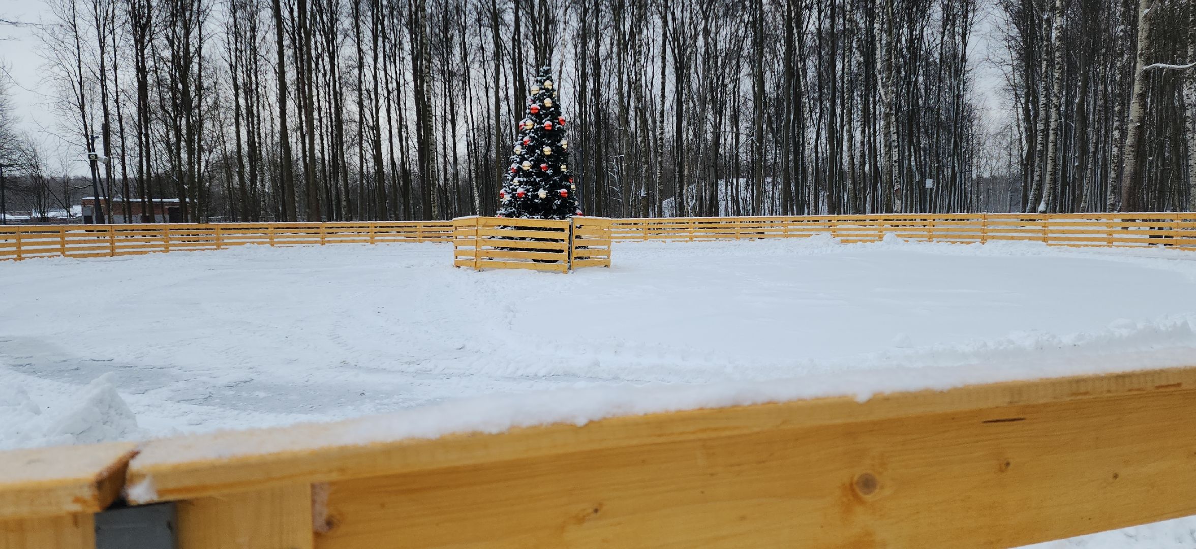 парк, электросталь, культура, культура подмосковья, парки подмосковья ., зима, зима в подмосковье, зимавподмосковье2024, ёлка, снегоуборка, снегоуборочная техника, каток, каток в парке,