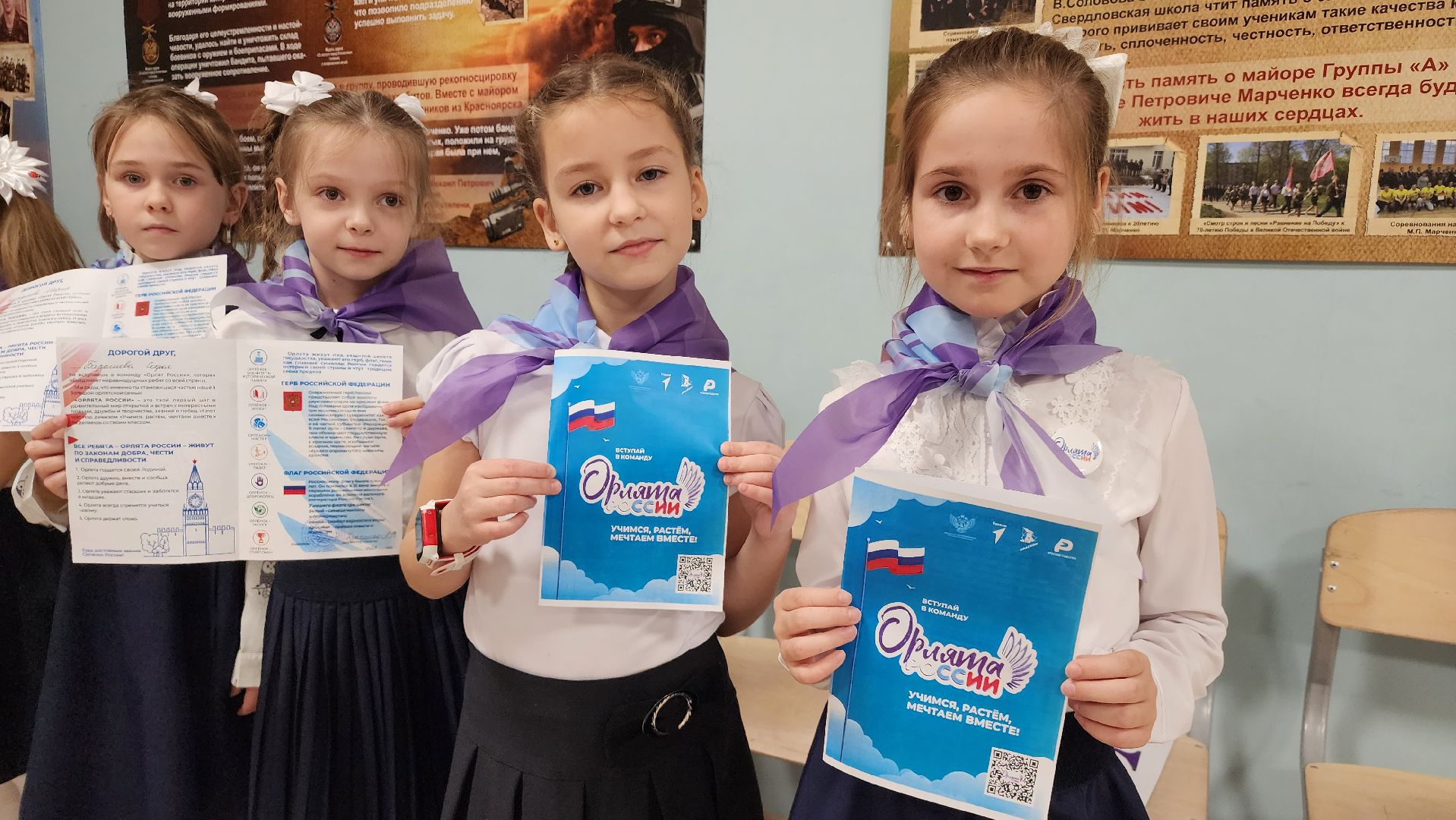 орлята России, движение первых, образование,