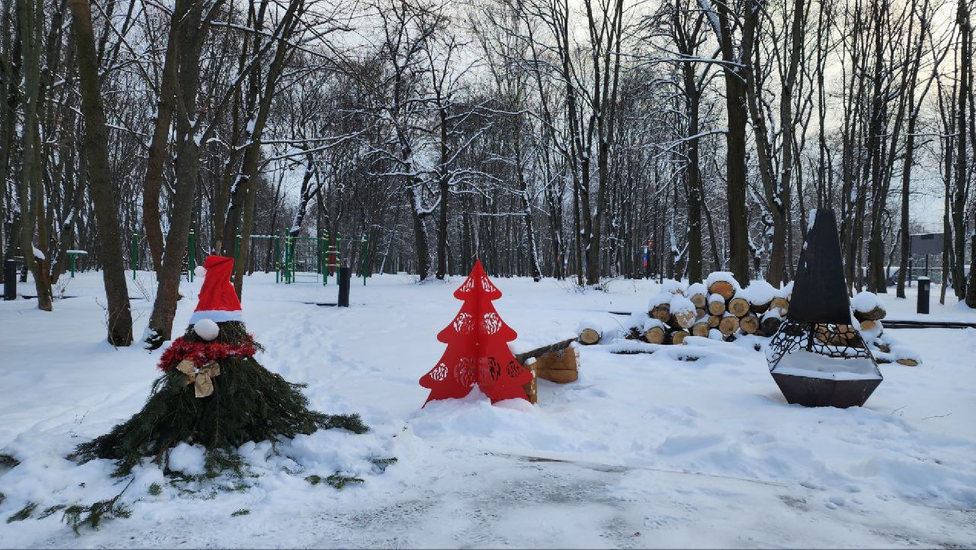 зимний сезон, новогодние елки, Лосино-Петровский,