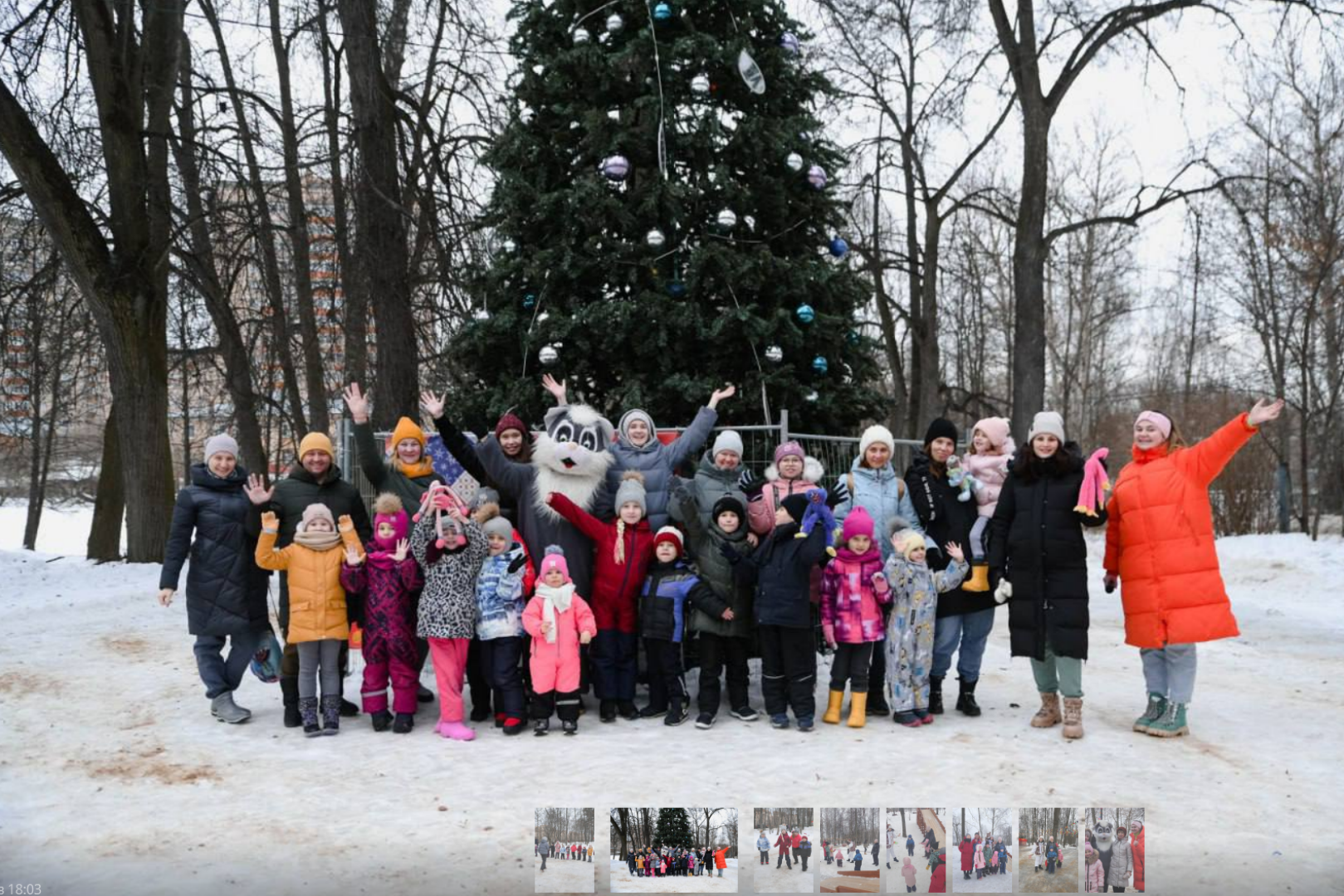 зимний сезон, новогодние елки, Лосино-Петровский,