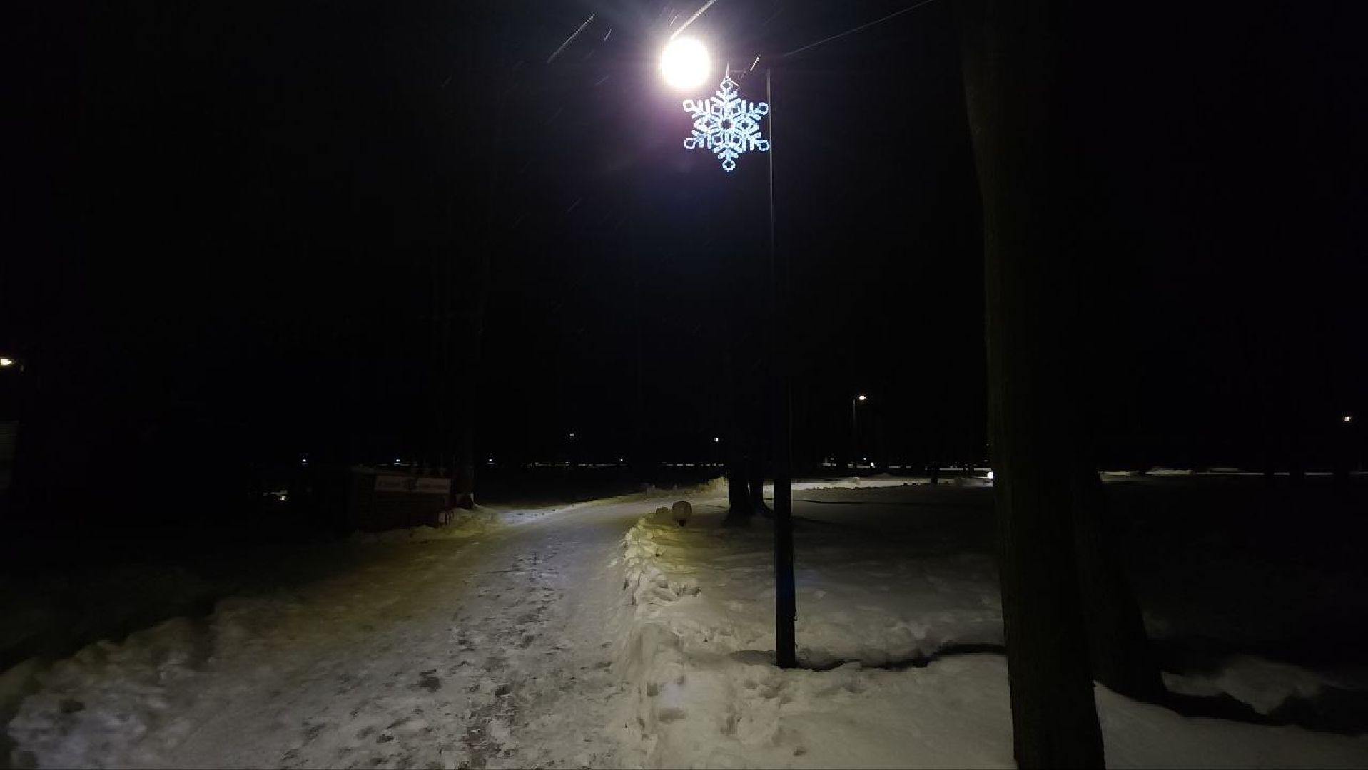 зимний сезон, новогодние елки, Лосино-Петровский,