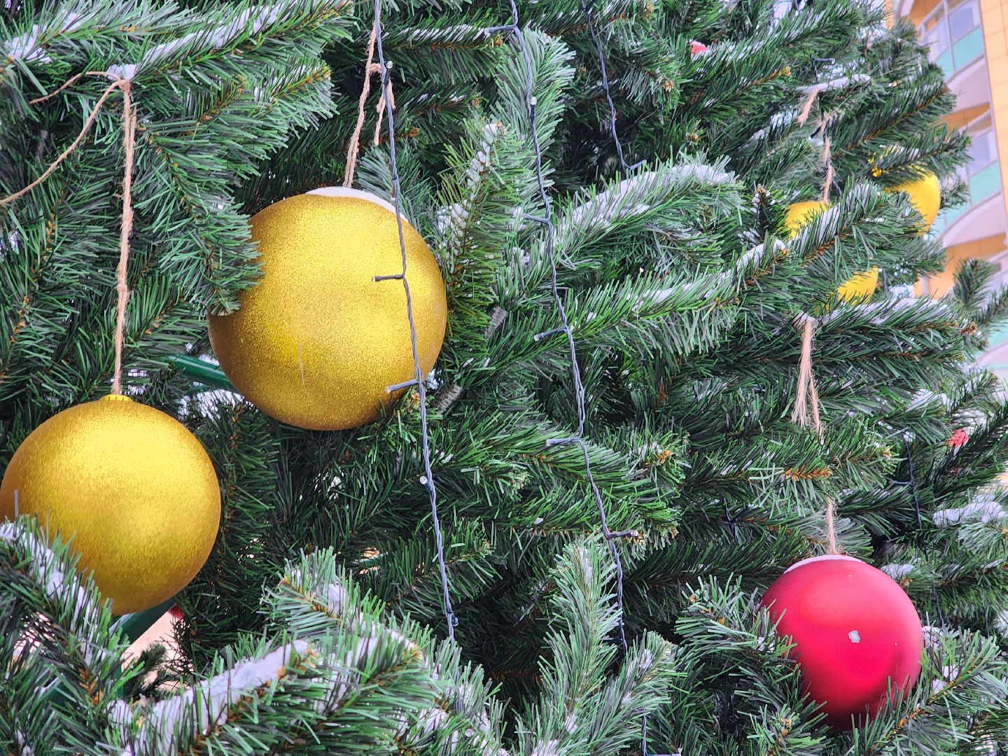 фрязино, зима в подмосковье, дети,