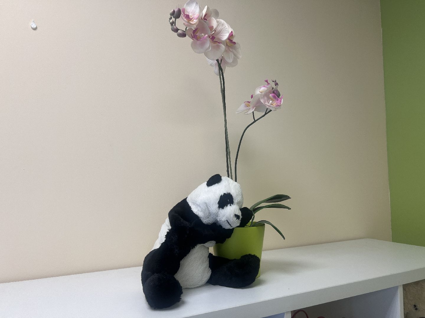 Солнечногорск, предприниматель, центр, Вектор, Детский центр,