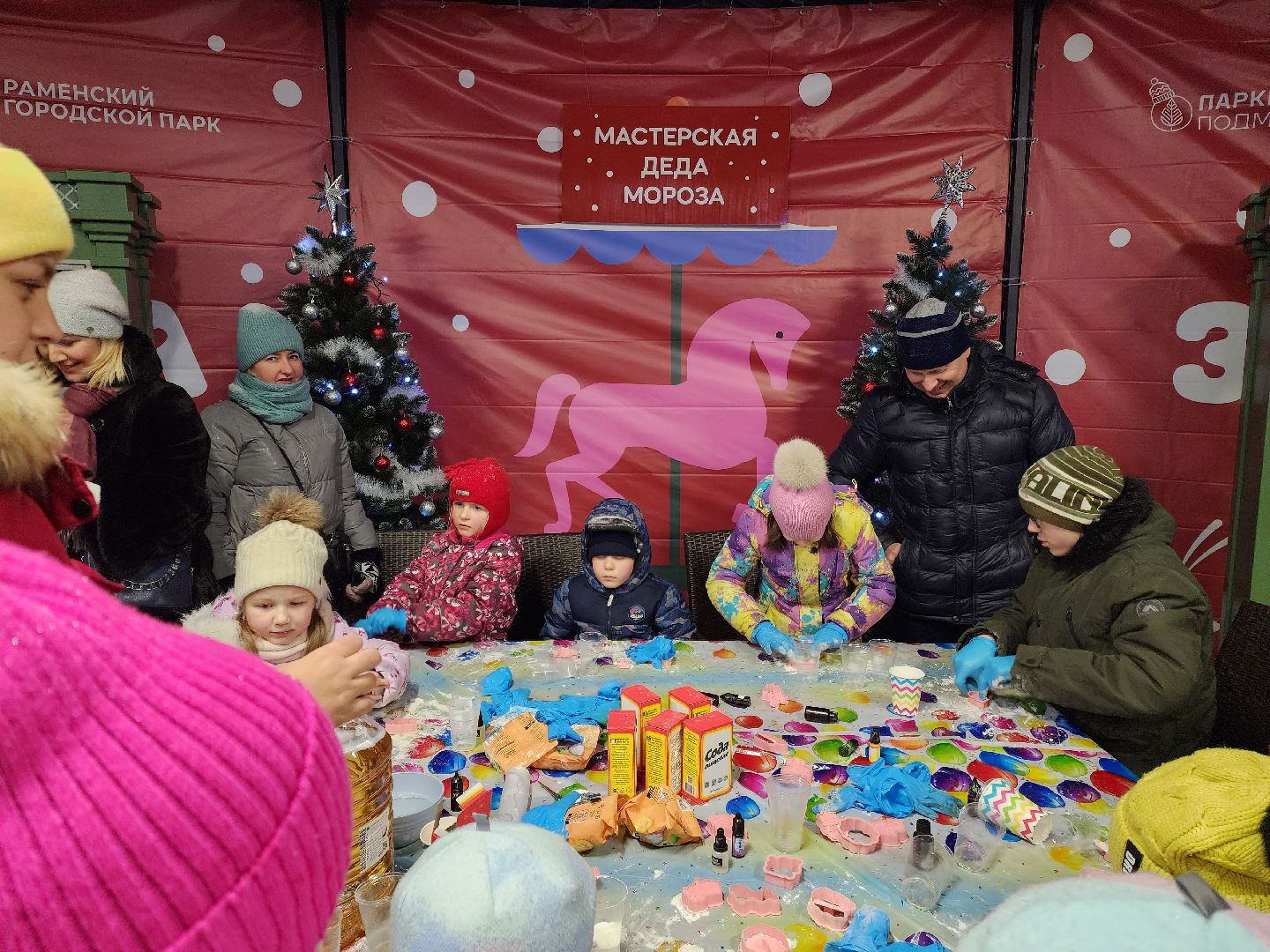 раменское, культура, раменский городской парк, резиденция деда мороза,