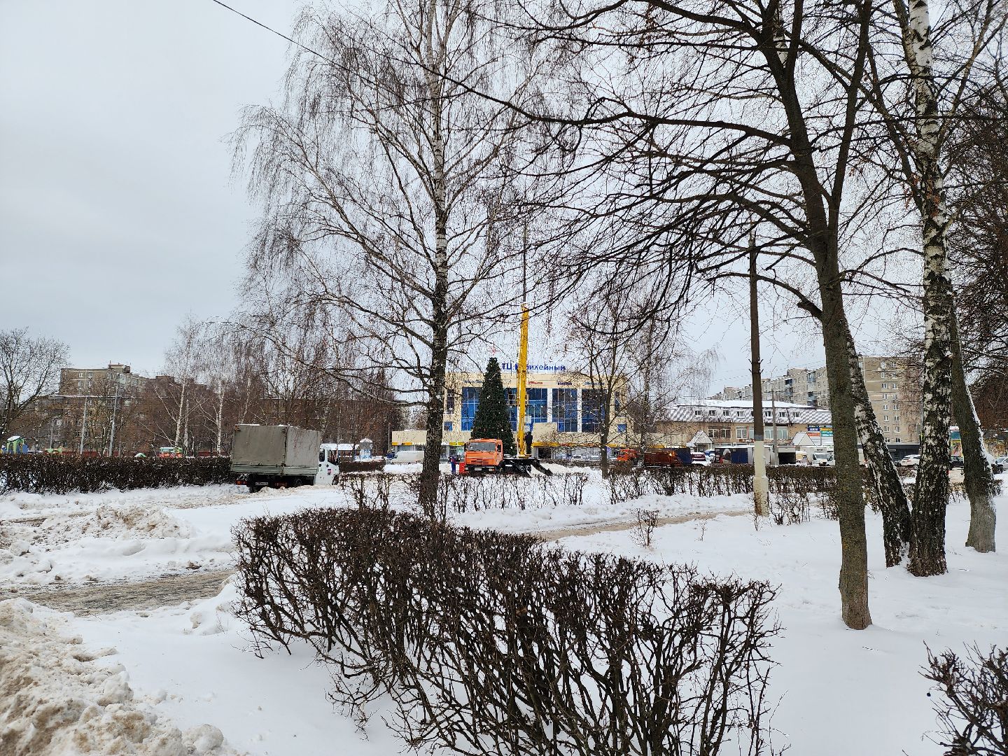 Подольск, Новый год, Праздник, Елка, гирлянды,