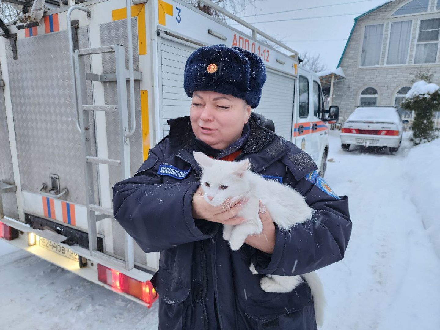 можайск, можайский городской округ, подмосковье, спасатели, Мособлпожспас, мособлпожспас, спасение животных, кот, жители, домашние животные,