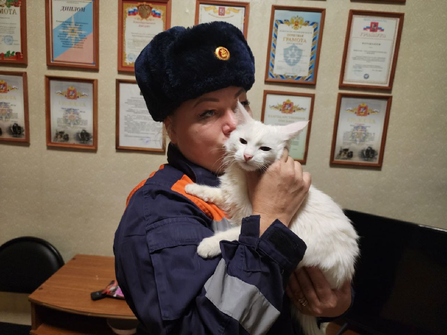 можайск, можайский городской округ, подмосковье, спасатели, Мособлпожспас, мособлпожспас, спасение животных, кот, жители, домашние животные,