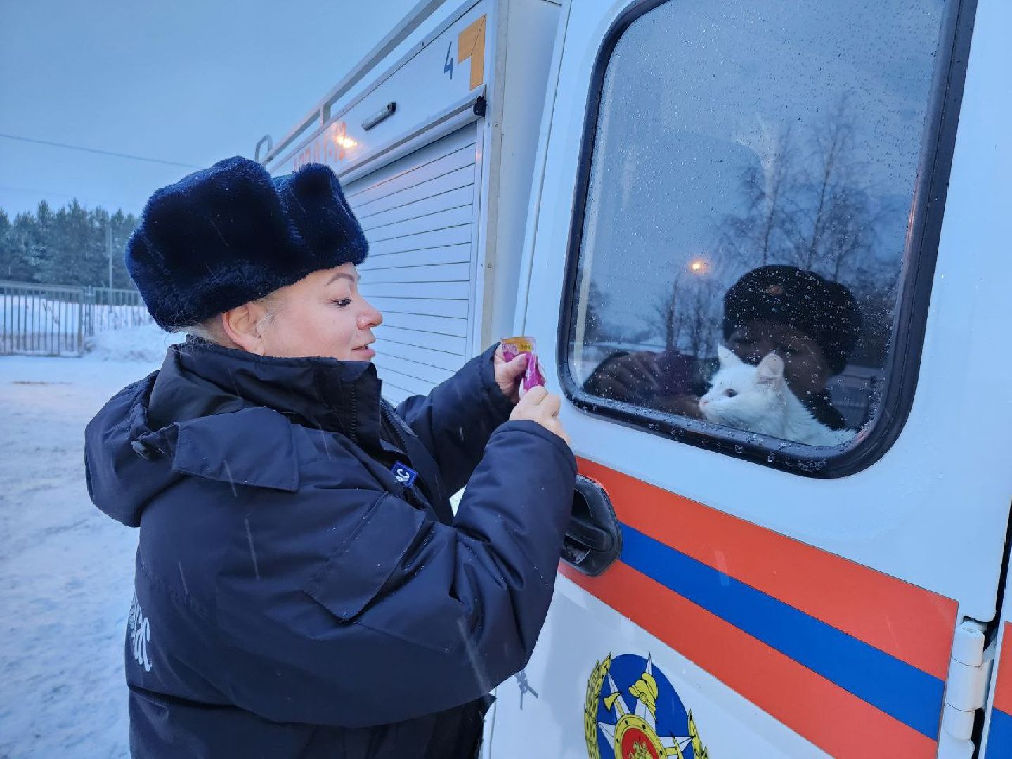можайск, можайский городской округ, подмосковье, спасатели, Мособлпожспас, мособлпожспас, спасение животных, кот, жители, домашние животные,