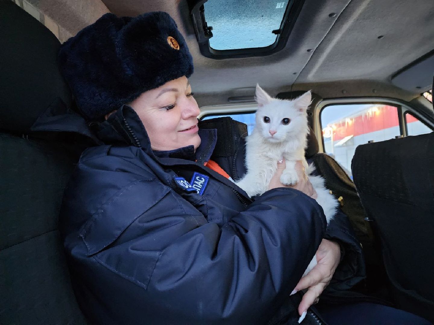 можайск, можайский городской округ, подмосковье, спасатели, Мособлпожспас, мособлпожспас, спасение животных, кот, жители, домашние животные,