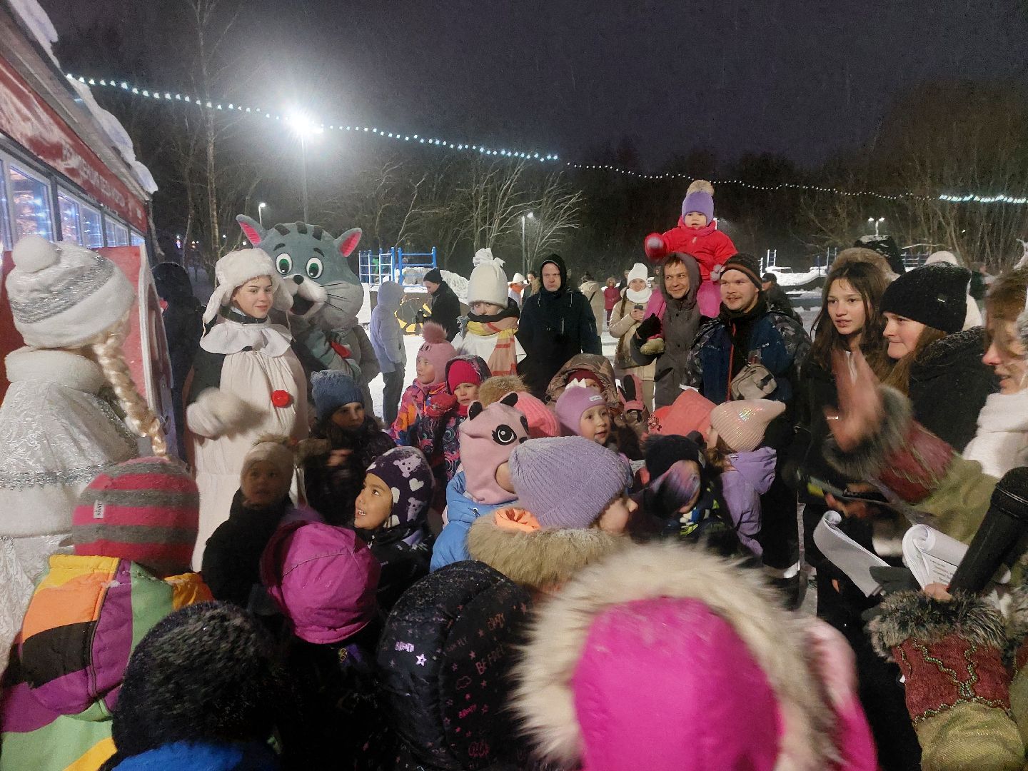 Культура, Городской парк, зима в подмосковье,