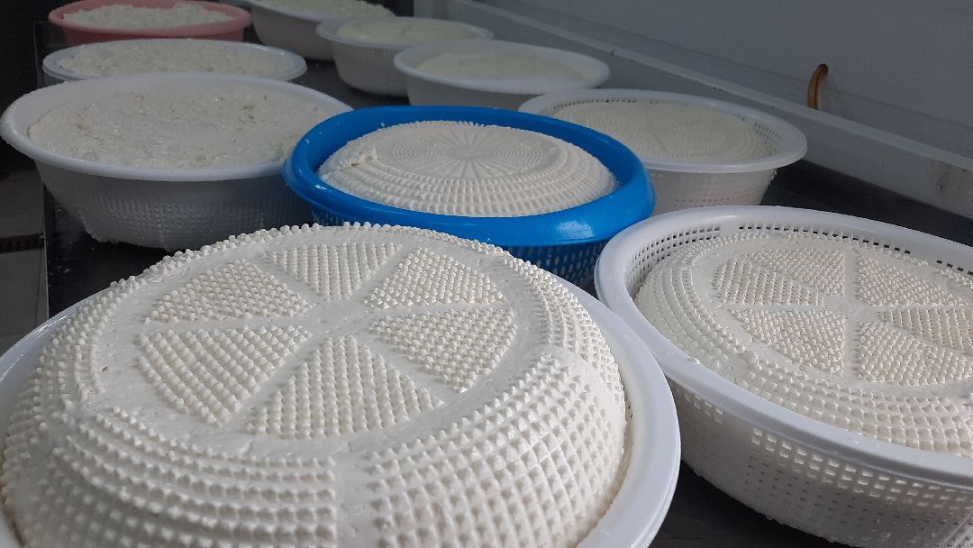 Наро-Фоминск, Сельское хозяйство, Тахир Джаппуев, фермер, грант, бизнес