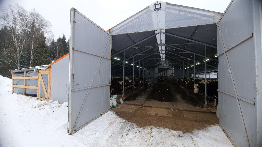 Наро-Фоминск, Сельское хозяйство, Тахир Джаппуев, фермер, грант, бизнес