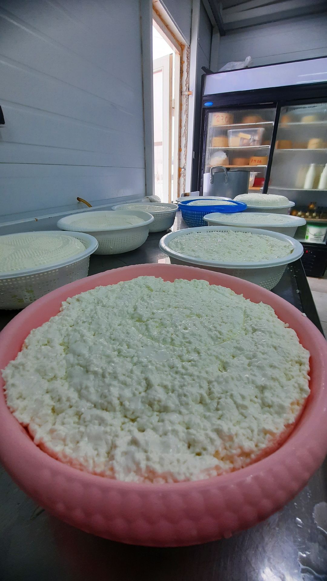 Наро-Фоминск, Сельское хозяйство, Тахир Джаппуев, фермер, грант, бизнес