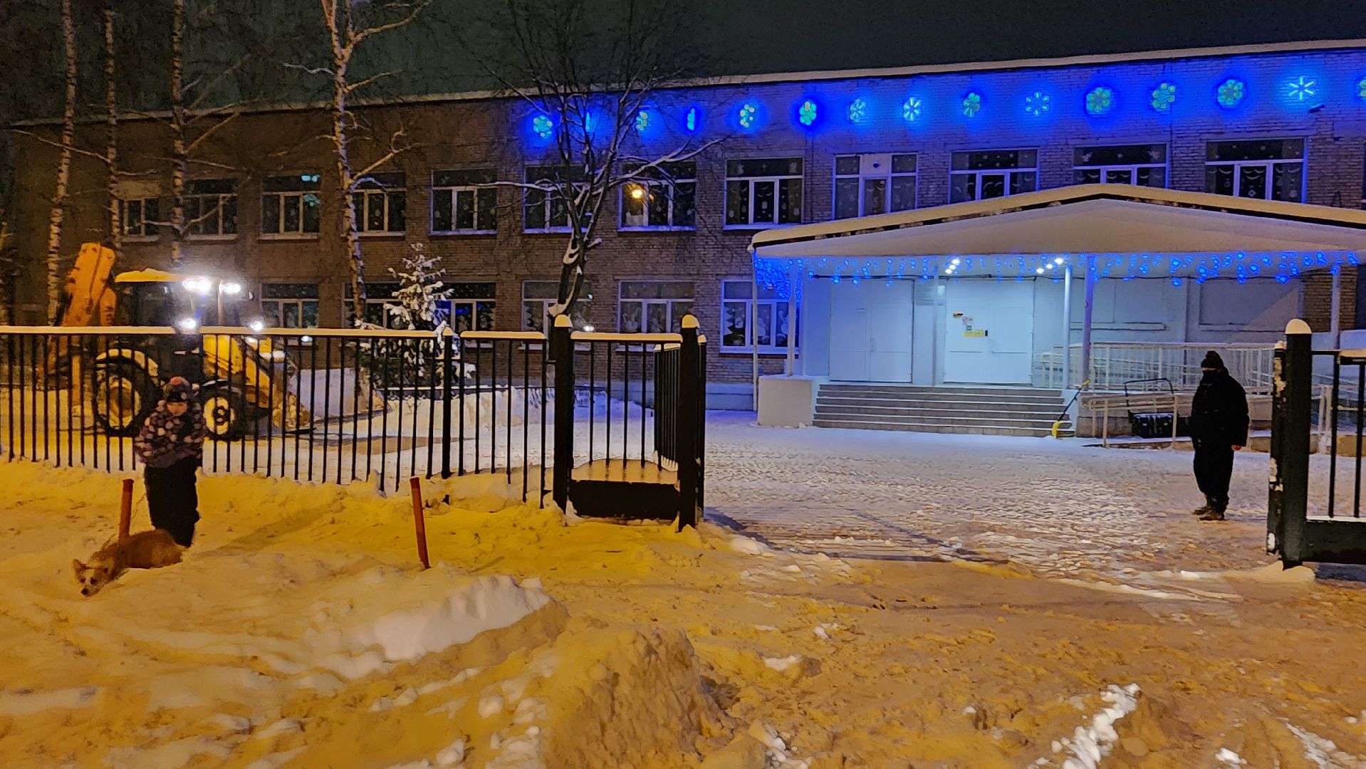 Подмосковье, городской округ пушкинский, Ивантеевка, непогода, Снегопад, Образование, Дети, родители,