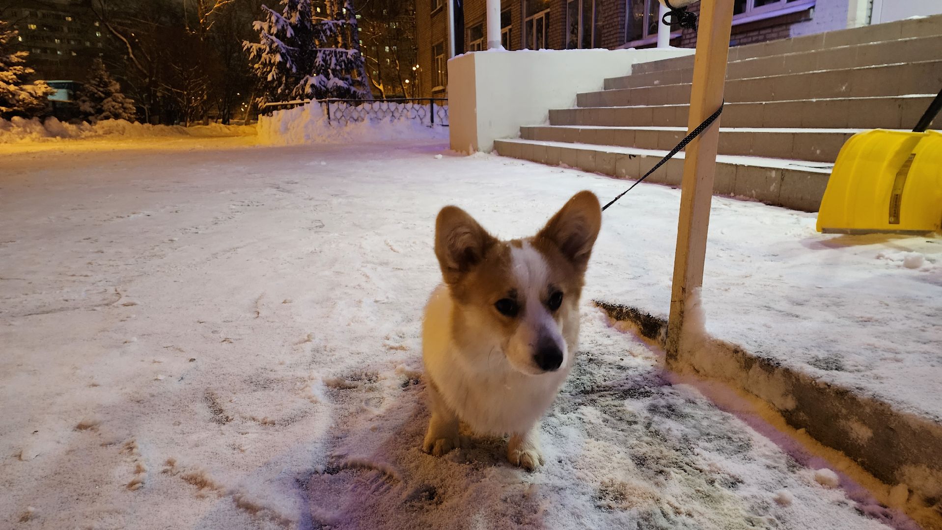 Подмосковье, городской округ пушкинский, Ивантеевка, непогода, Снегопад, Образование, Дети, родители,