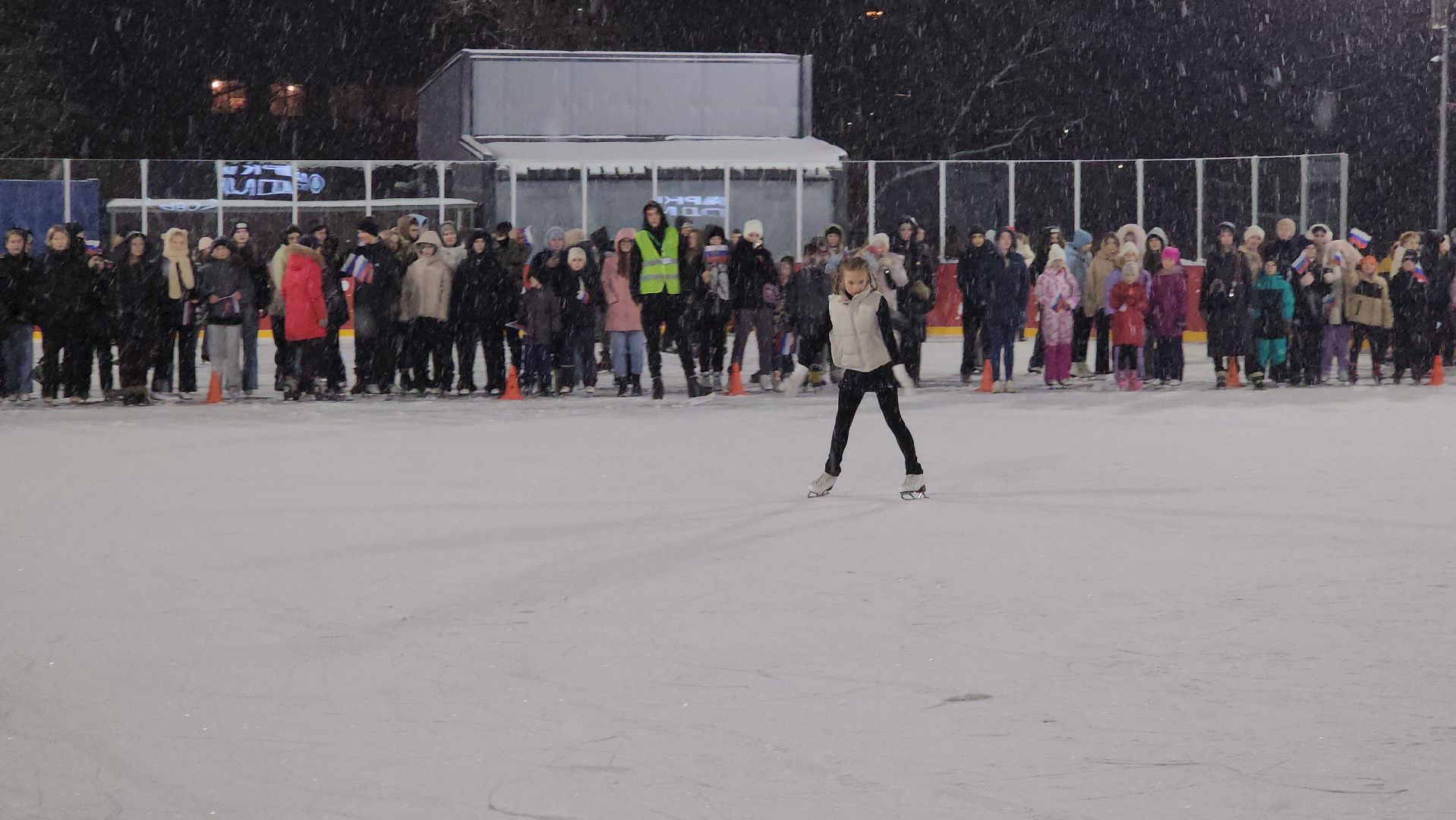 серпухов, каток, парк питомник, зима в подмосковье, коньки,