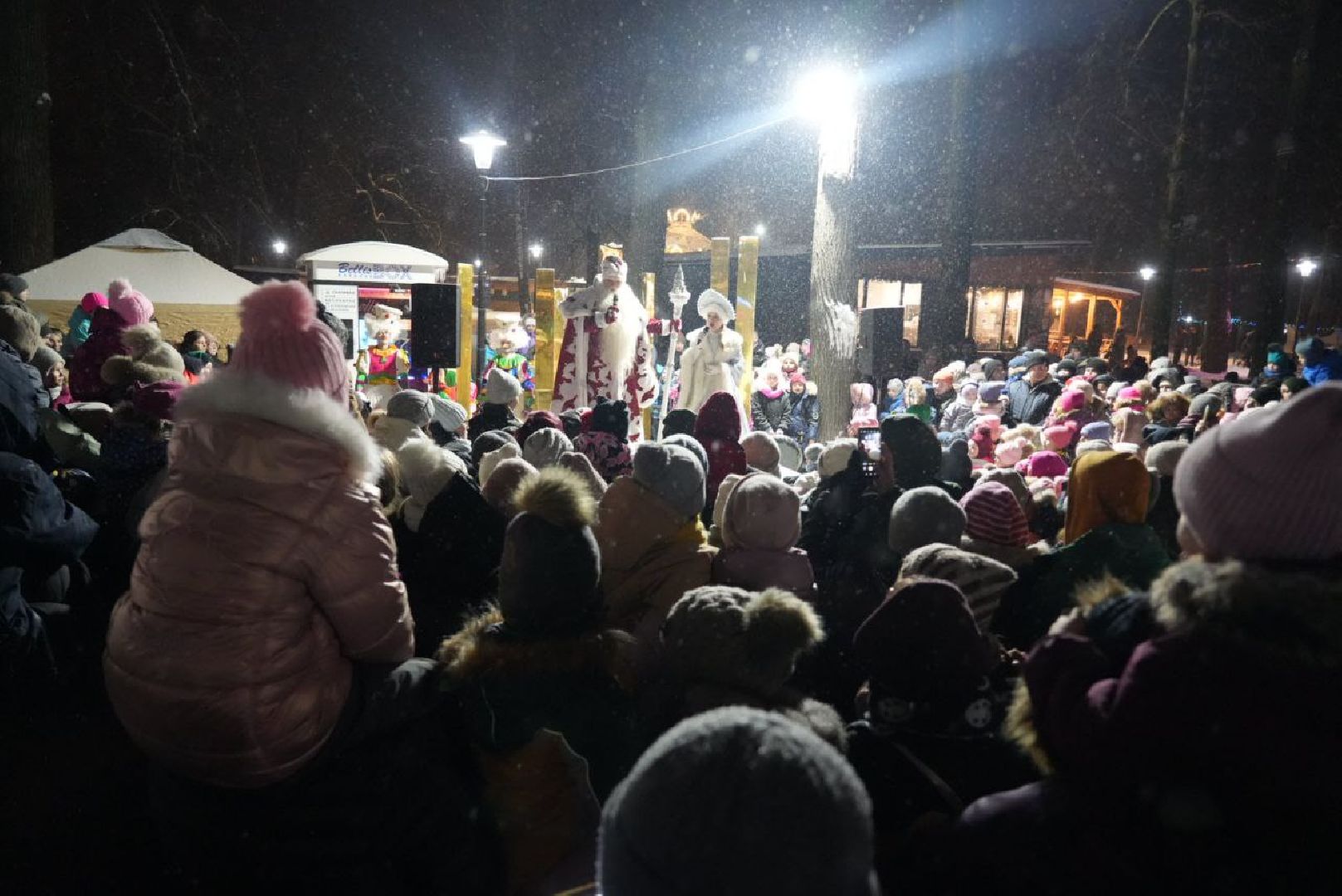 Сергиев Посад, Сергиево-Посадский городской округ, Новый год, Праздник, Зима в Подмосковье, Скитские пруды, Губернаторский проект, Зимний сезон, Зажжение елки,