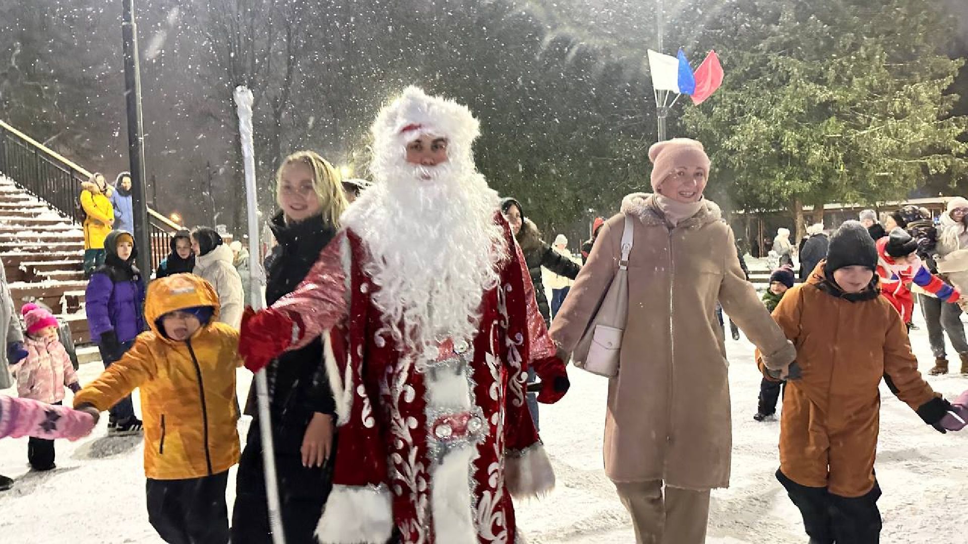 ёлка, зима в подмосковье, наро-фоминск,