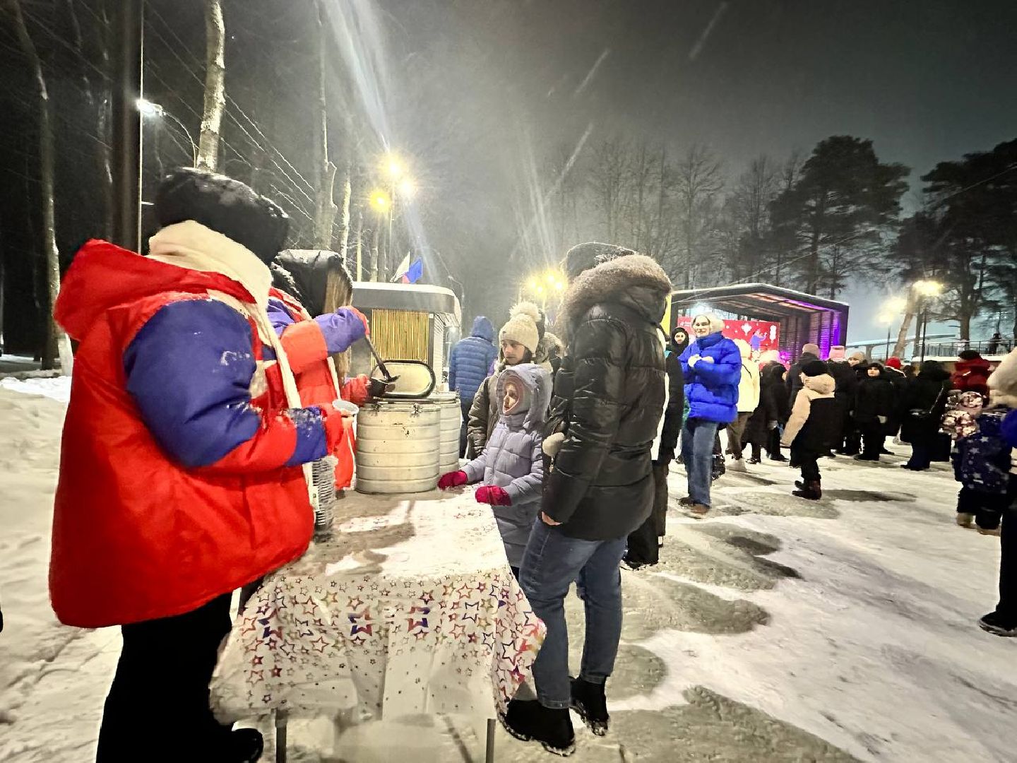 ёлка, зима в подмосковье, наро-фоминск,