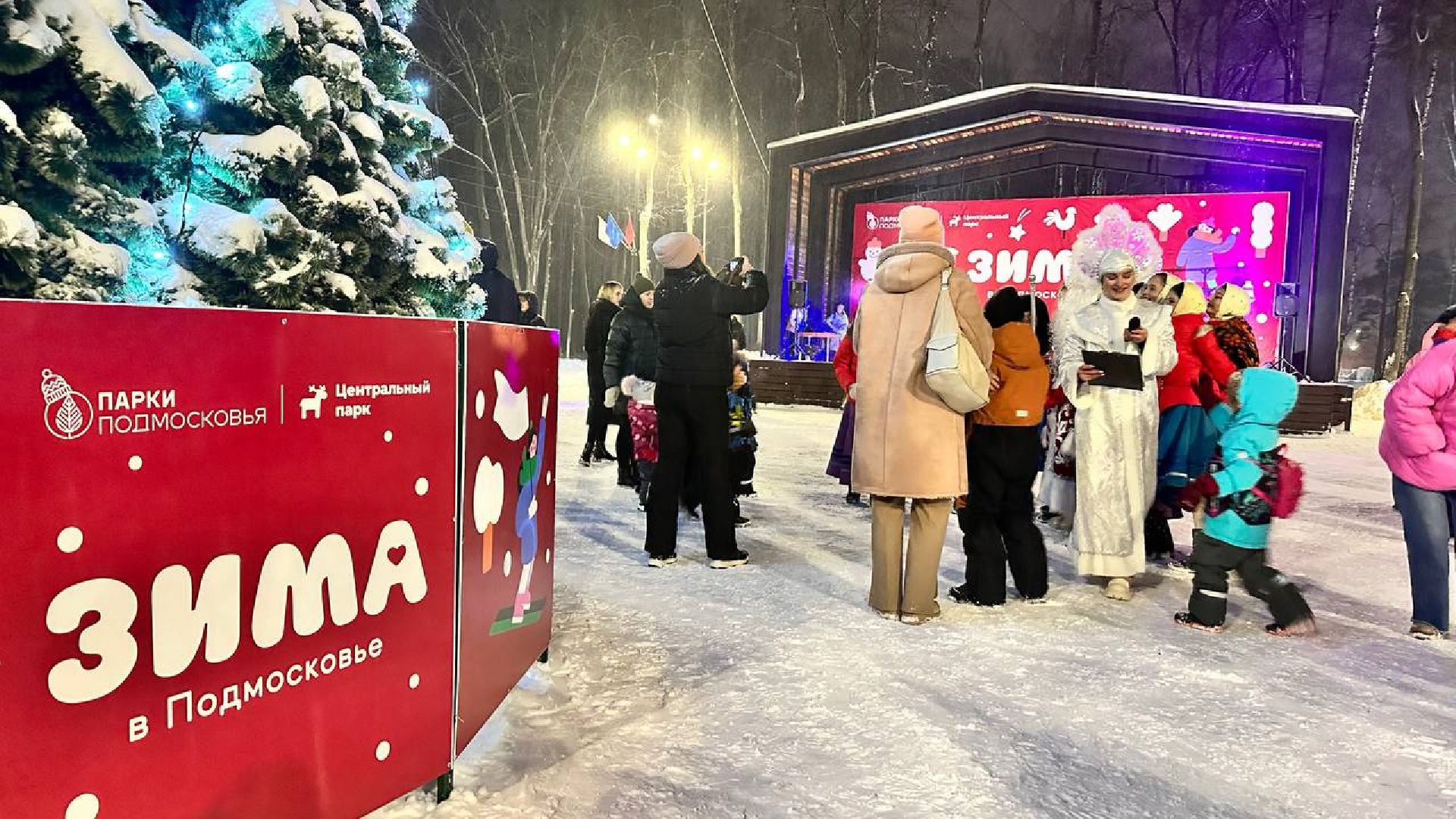 ёлка, зима в подмосковье, наро-фоминск,