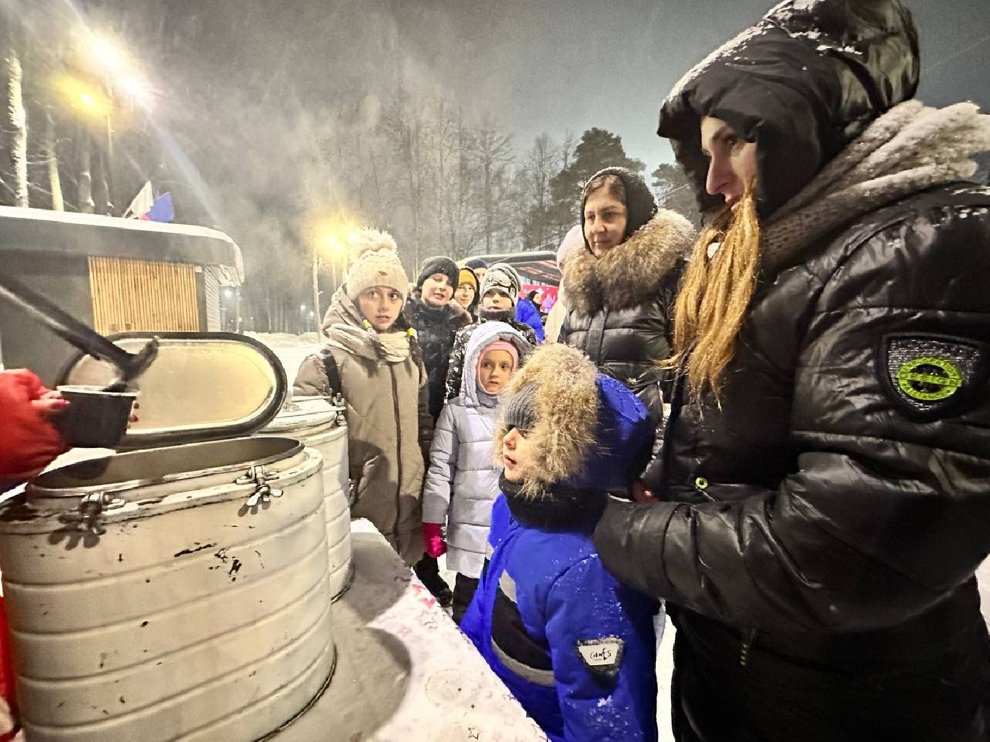 ёлка, зима в подмосковье, наро-фоминск,