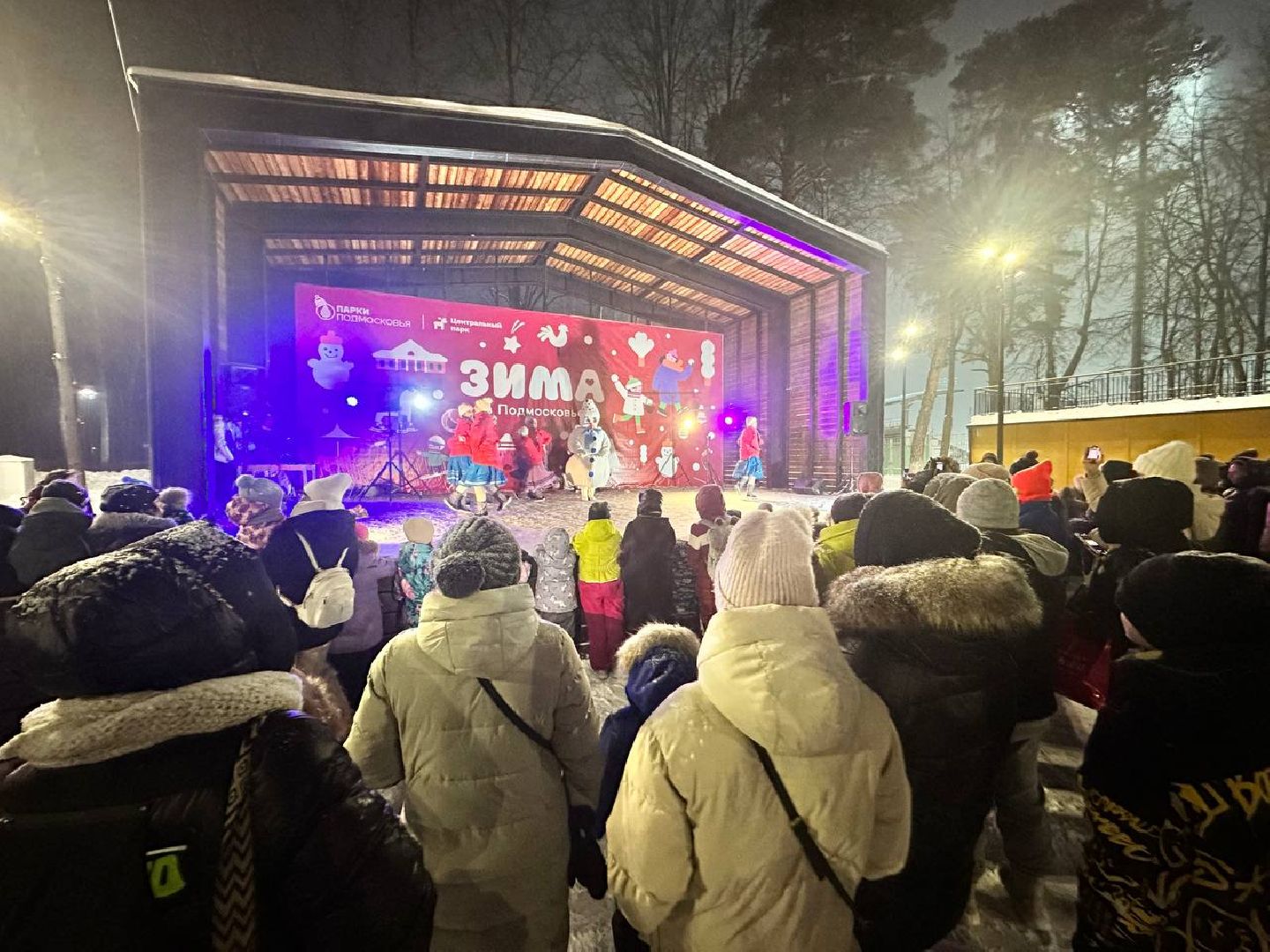 ёлка, зима в подмосковье, наро-фоминск,