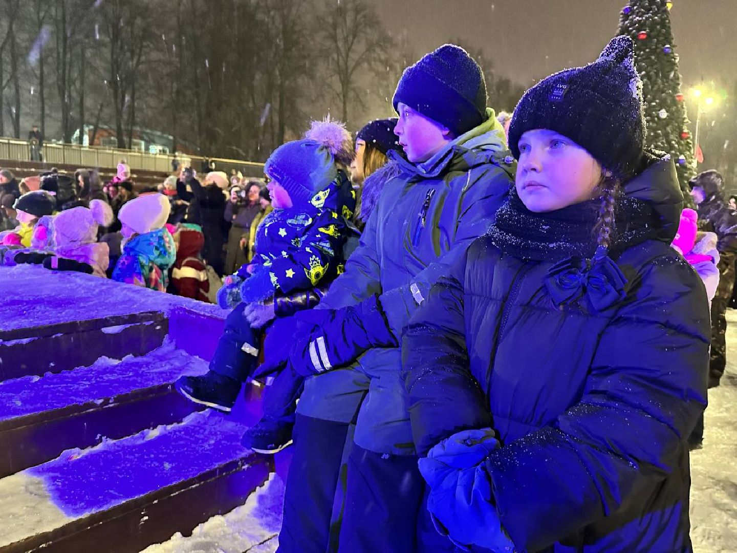 ёлка, зима в подмосковье, наро-фоминск,