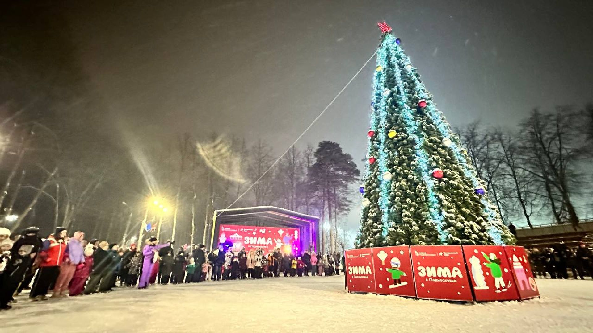 ёлка, зима в подмосковье, наро-фоминск,