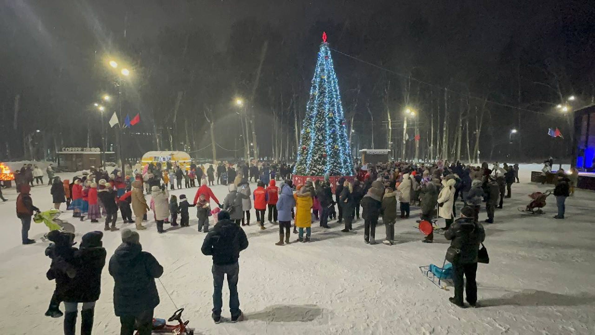 ёлка, зима в подмосковье, наро-фоминск,