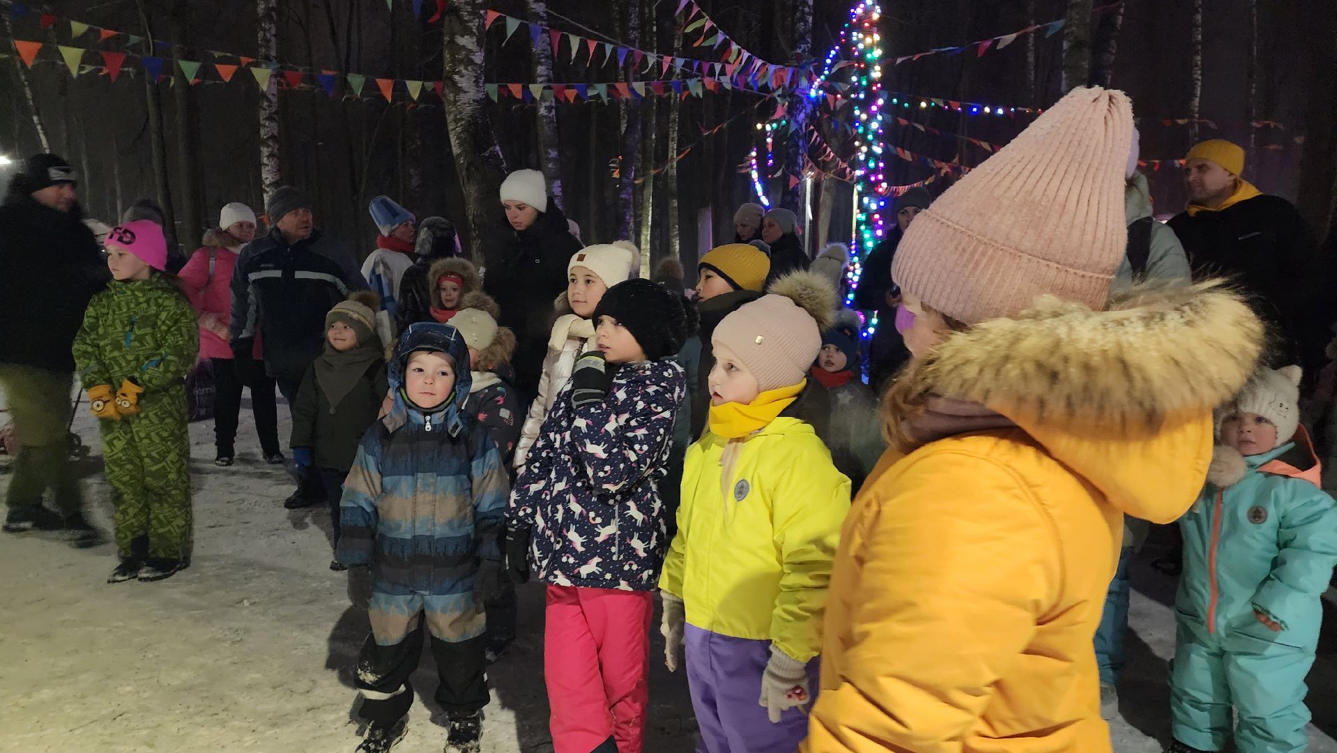 зима в Подмосковье, открытие зимнего сезона, парки подмосковья, Лосино-Петровский,