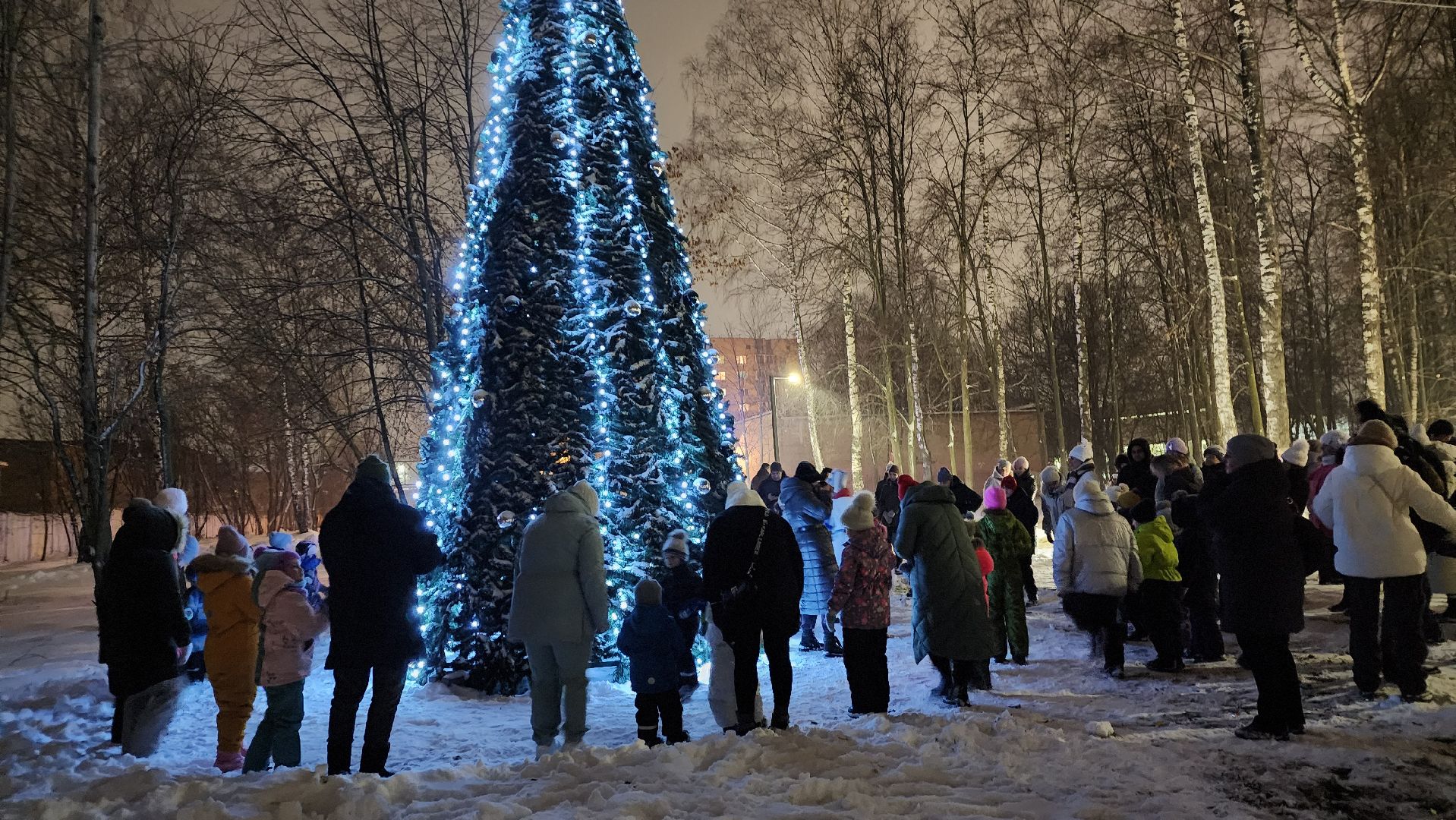 зима в Подмосковье, открытие зимнего сезона, парки подмосковья, Лосино-Петровский,