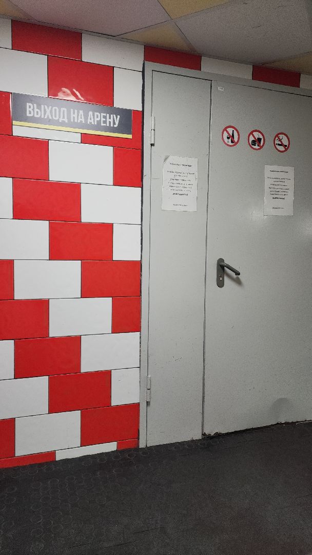 хоккей, день хоккея, электросталь, электросталь спортивная, юные хоккеисты, ледовая арена, ледовый дворец, ледовый комбайн, каток, хоккейный сезон, тренер, тренер по хоккею,